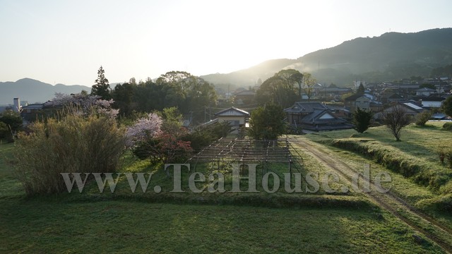Japan Teereise – Die. 05.04.2016